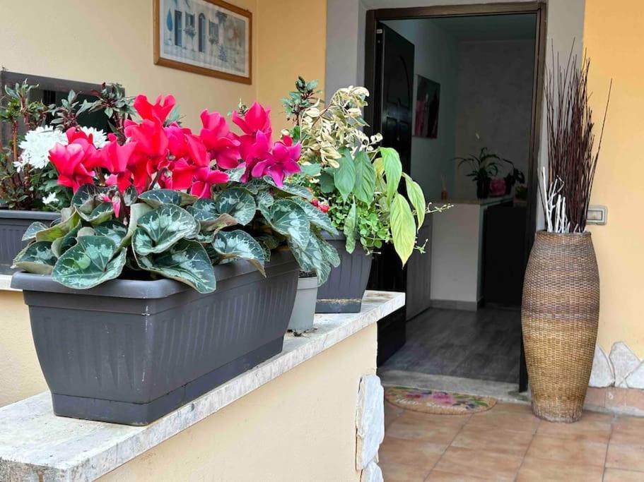 Apartament Domus Acquedotto Rzym Zewnętrze zdjęcie
